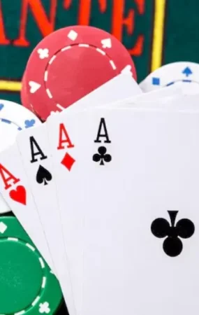 글로벌-라이선스-비교