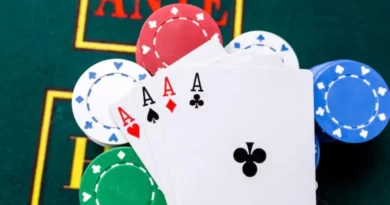 글로벌-라이선스-비교