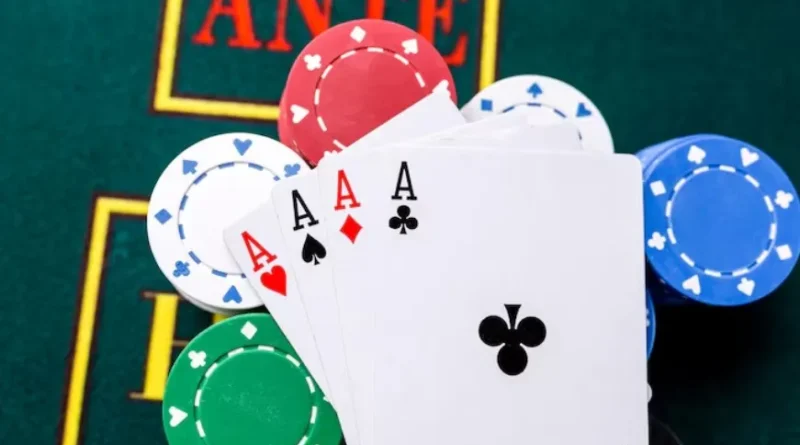 글로벌-라이선스-비교