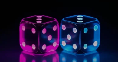 2025-보너스-유형-top5