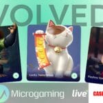 Microgaming – Pioneer of Online Casino Software