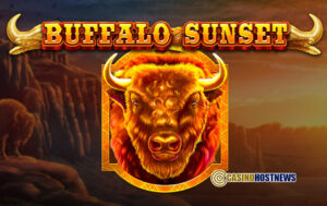 Buffalo Sunset