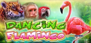 Dancing Flamingo Slot Review – CT Gaming