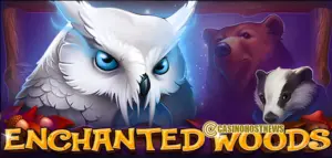 Enchanted Woods Slot Review – CT Gaming