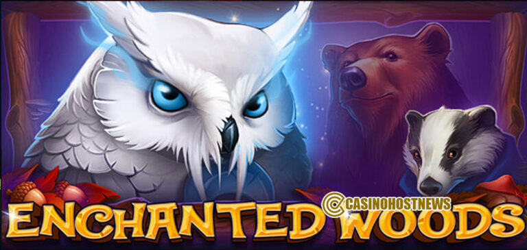 ENCHANTED WOODS1
