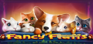FANCY FLUFFS1