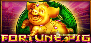 FORTUNE PIG1