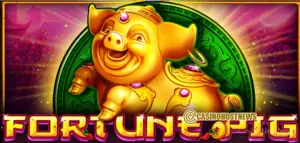 Fortune Pig Slot Review – CT Gaming
