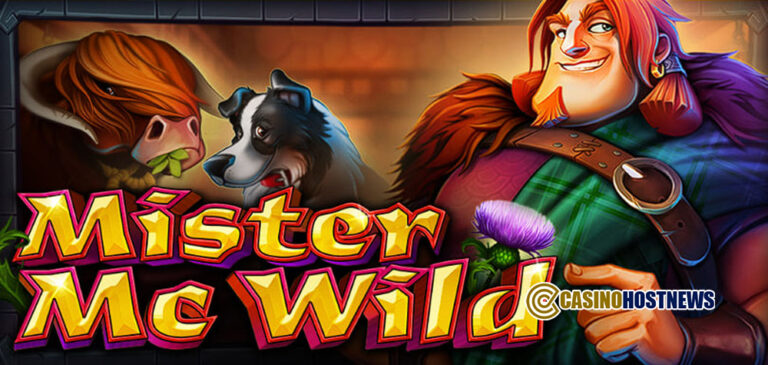MISTER MC WILD1