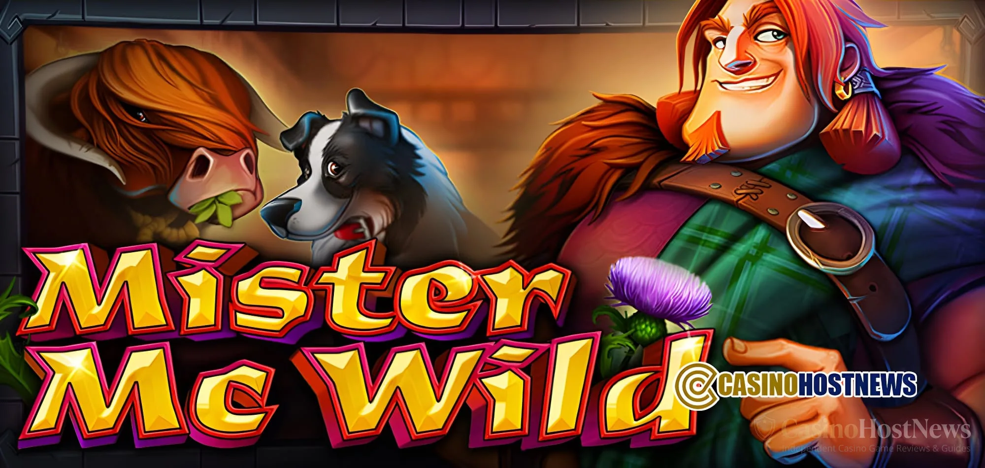 Mister Mc Wild Slot Review – CT Gaming