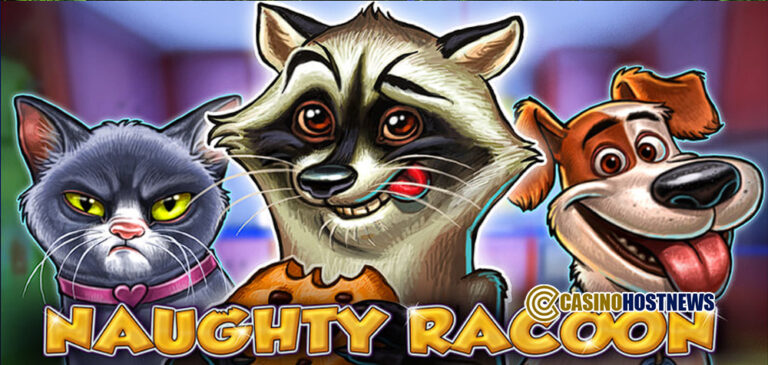 NAUGHTY RACOON1