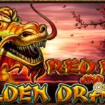 RED BIRD AND GOLDEN DRAGON1