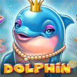 RICH DOLPHIN STAR1