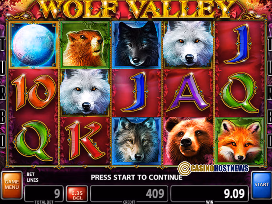WOLF VALLEY2
