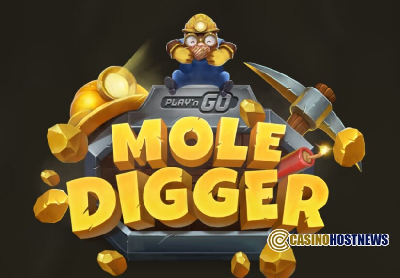 play'n-go-mole-digger