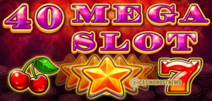40 MEGA SLOT1