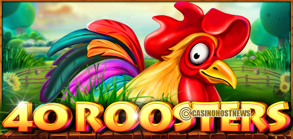 40 ROOSTERS1