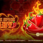 Spice Spice Baby! delivers a bold