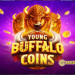 Young Buffalo Coins1
