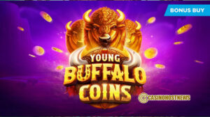 Young Buffalo Coins1