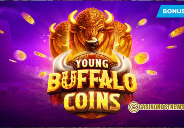 Young Buffalo Coins1
