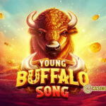 Young Buffalo Song1