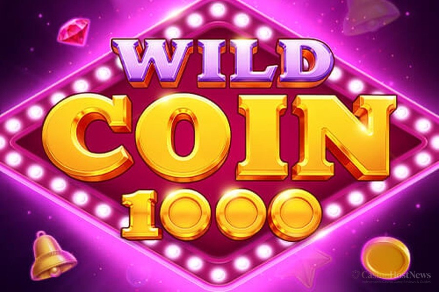 Wild Coin 1000 online slot review and verified math model by netgame entertainment
